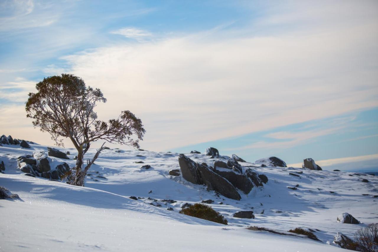 Aneeki Ski Lodge Thredbo Dış mekan fotoğraf